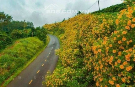 BÁN ĐẤT TẶNG NHÀ TẠI TAKA GARDEN HILL TP BẢO LỘC, SỔ ĐỎ CẦM TAY, GIÁ HƠN TỶ XÍU